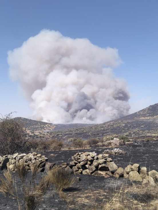 El incendio de Navas de San Antonio (Segovia) se reactiva por el viento mientras se investiga un posible segundo foco en Navas de Riofrío