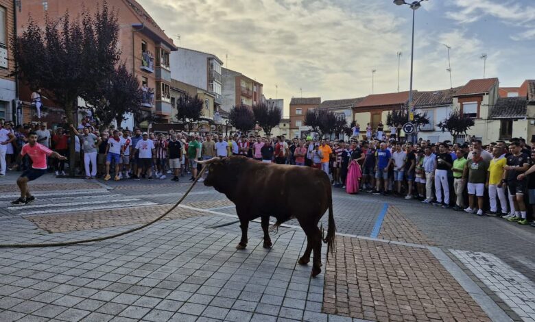 Castilla y León convoca los Premios de Investigación sobre Tauromaquia 2026 con 20.000 euros en ayudas